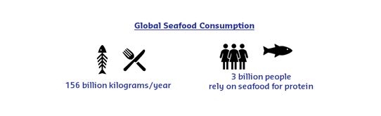 global seafood consumption infographic